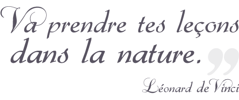 Va prendre tes leçons dans la nature. Léonard de Vinci